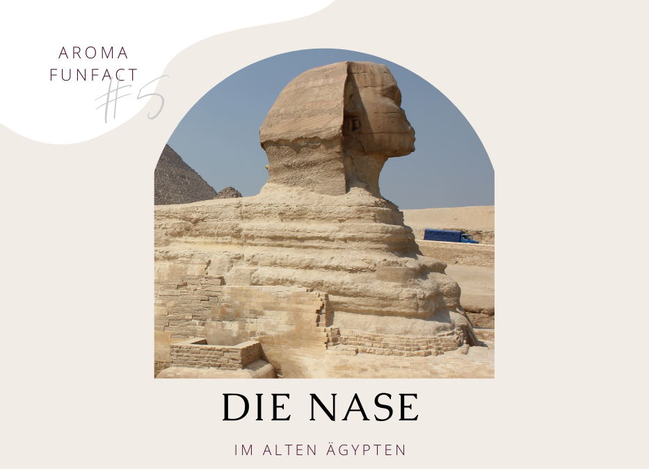 Aroma Funfact #5: Die Nase im Alten Ägypten