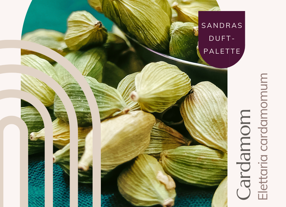 Cardamom – der sanfte Liebhaber